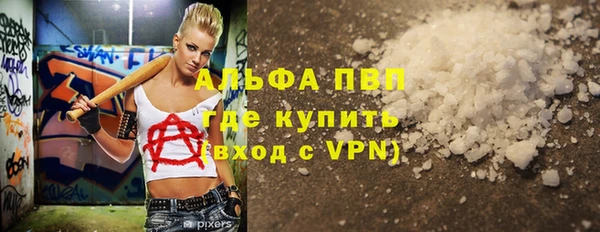 стаф Кинешма
